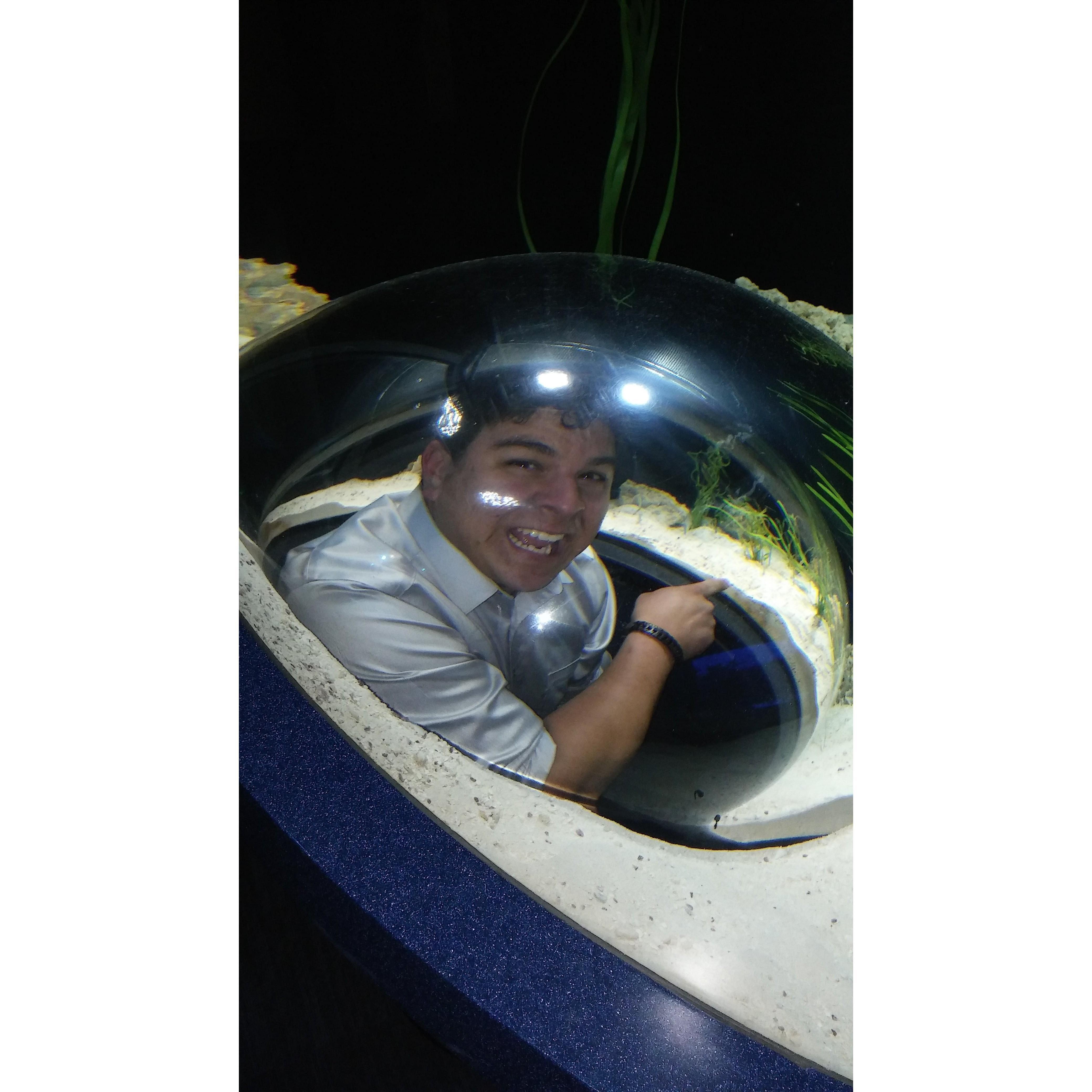 Aquarium