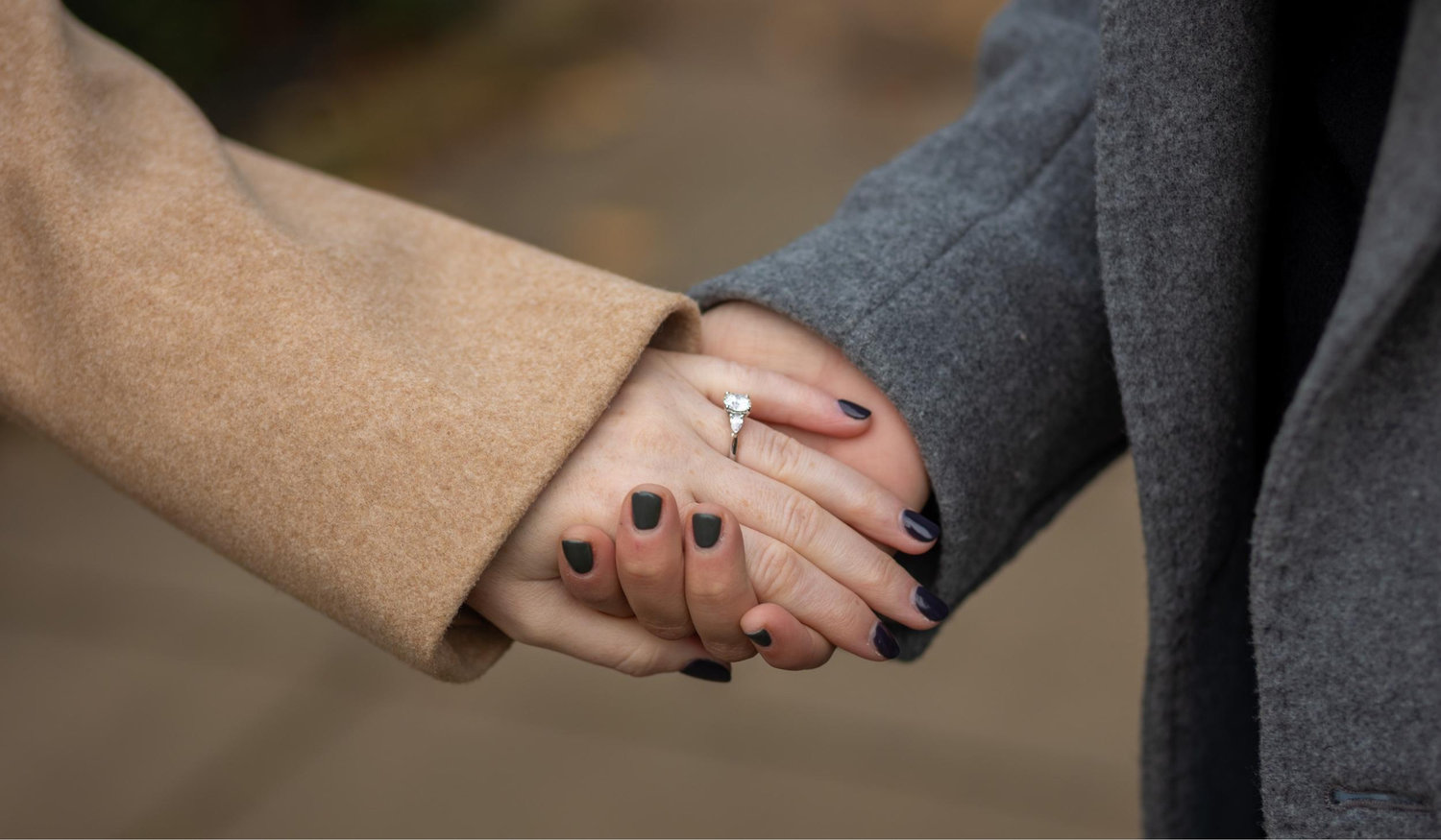 The Wedding Website of Brianna Golden and Rebecca De Souza