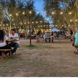Queen Creek Olive Mill