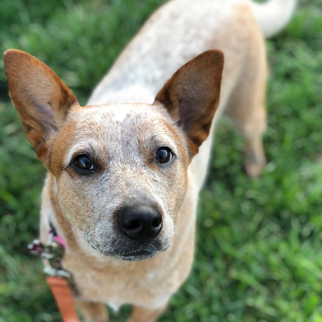 Our Daisy girl!