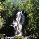 Hunter Creek Trail