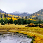 Moderate Hiking: Lockett Meadow Inner Basin Loop