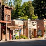 Whitefish