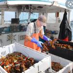 Watch The Lobster Boats from Stonington