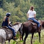 Horseback Riding