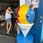 Waiola Shave Ice