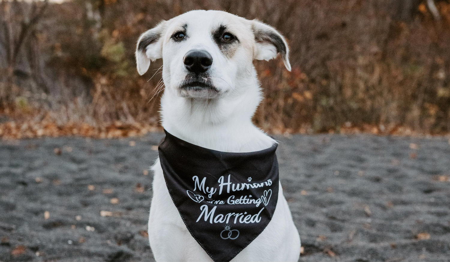 The Wedding Website of Erin Machacek and Ethan Koep