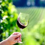 Winneshiek Wildberry Winery