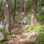 Hiking