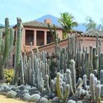 Lotusland