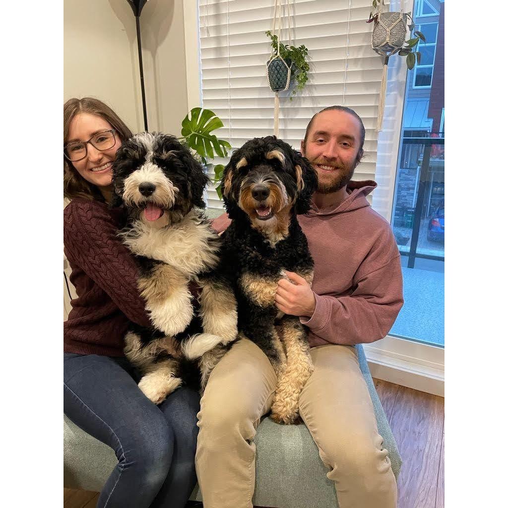 Benny boy joins the family