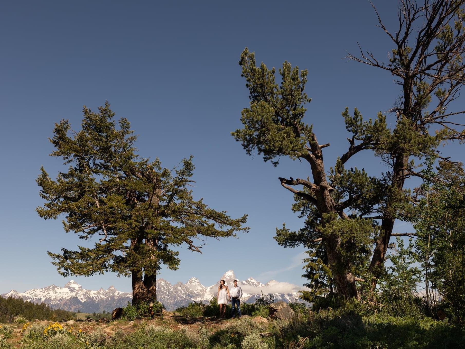 The Wedding Website of Julie Gage and Zach Kraus