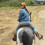Wine Country Trails by Horseback