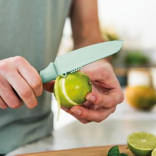 Leo Vegetable Knife with Zester