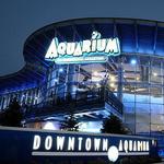 Downtown Aquarium