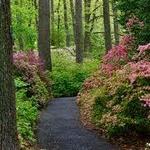 Jenkins Arboretum & Gardens