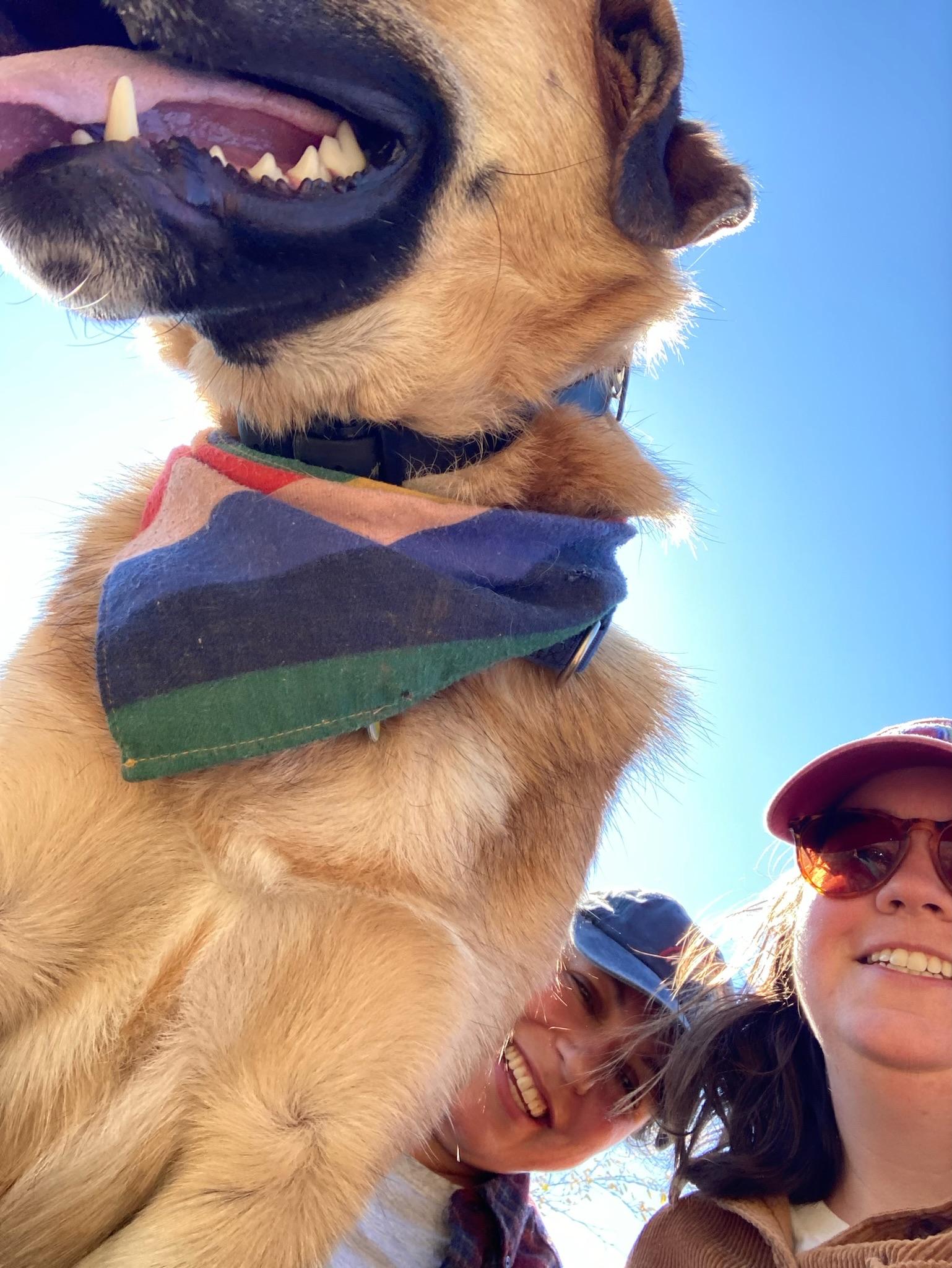 The Wedding Website of Alice Baker and Hollie Schaffer