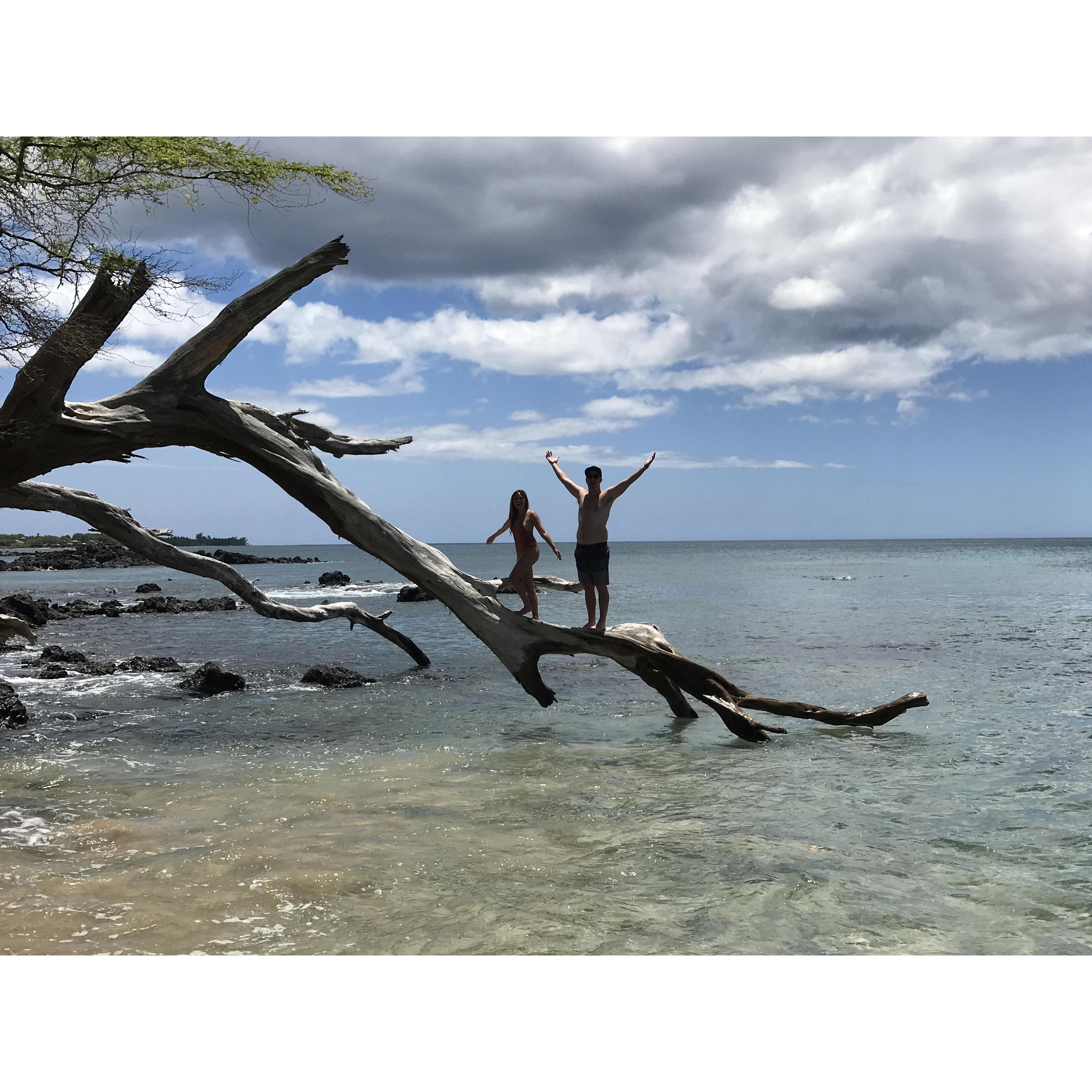 Just monkeying around at 69s Beach on the Big Island of Hawaii