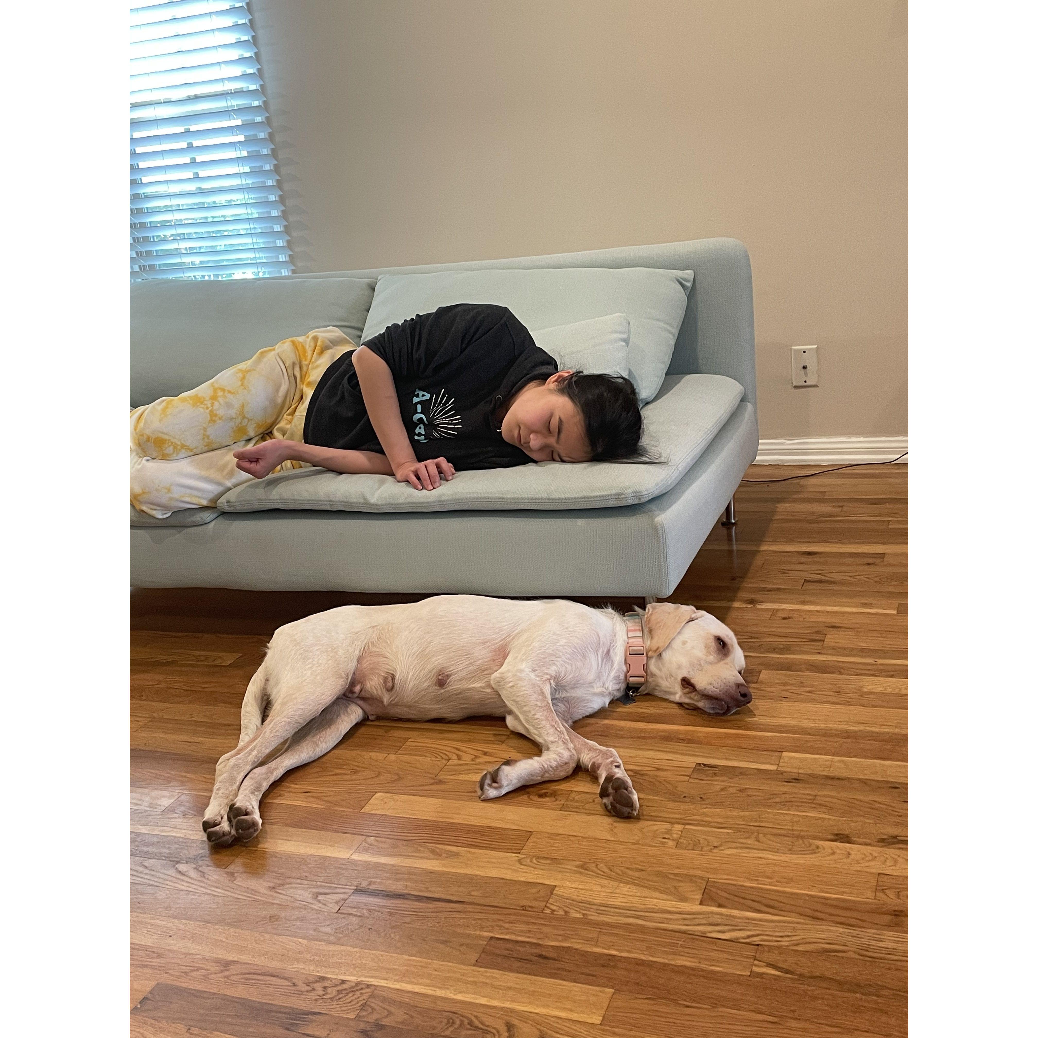 Our second foster doggo, Daisy Mae. She likes to nap like a human.