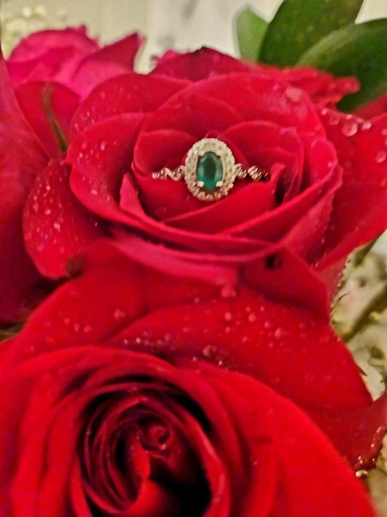 The Wedding Website of Tina Trelka and William Johnson