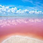 Las Coloradas