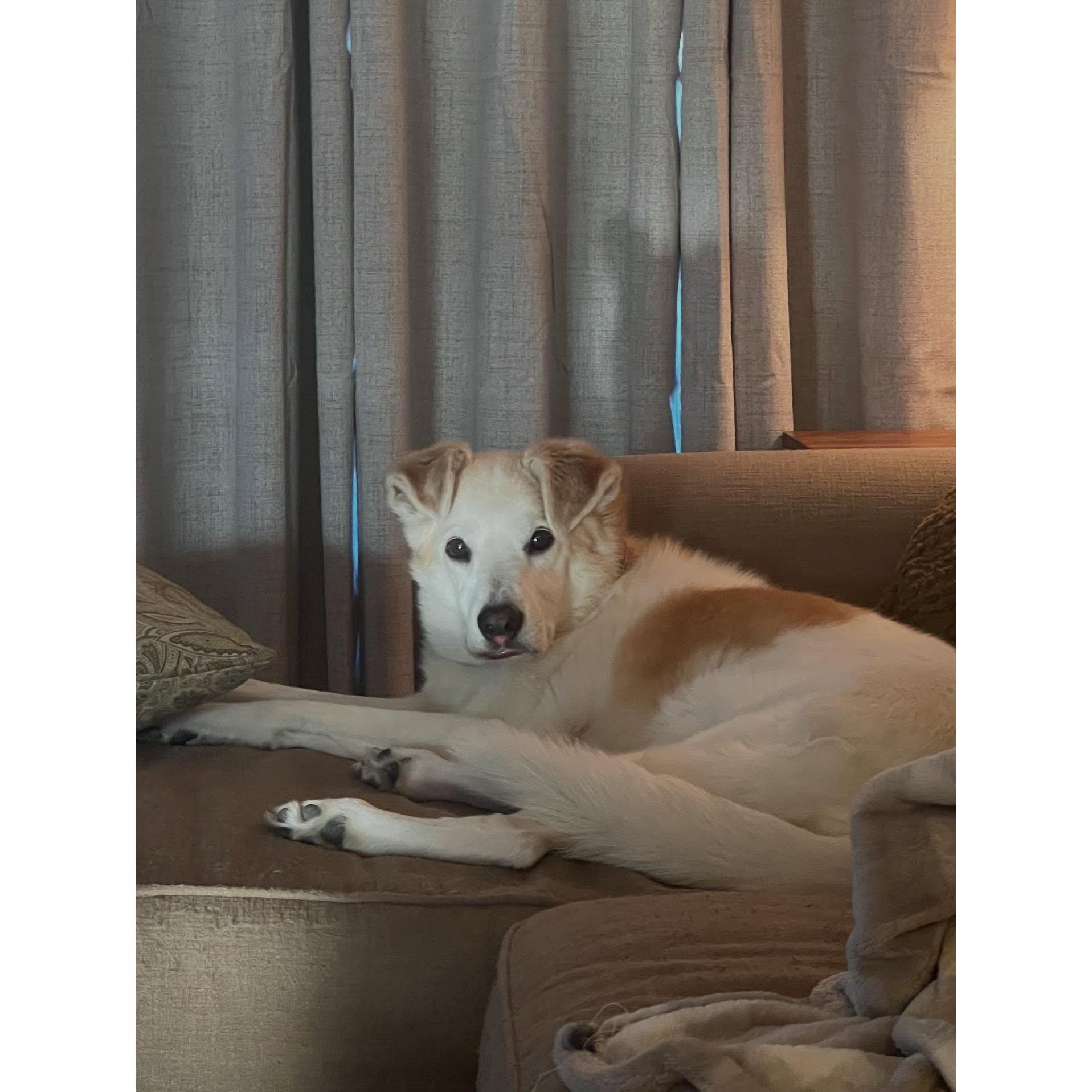 Silas was 13 when Winston met him.