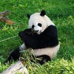 National Zoo