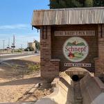 Schnepf Farms