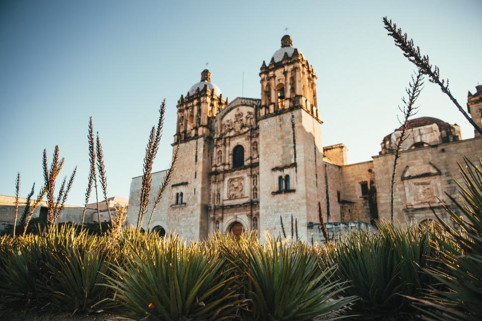 The Wedding Website of Monica Pelayo and Eddie Martinez