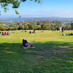 Kate Sessions Memorial Park