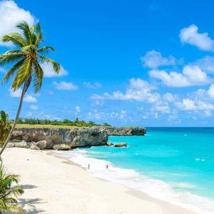Honeymoon Cash Fund
