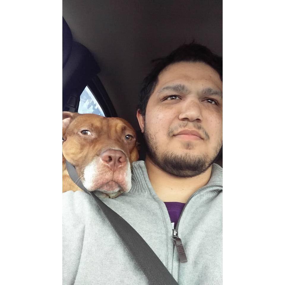 Road buddies!! I wouldn't let him sit in my lap so he went to the back seat so he could put his head on my shoulder xD