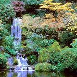 Portland Japanese Garden