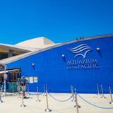 Aquarium of the Pacific