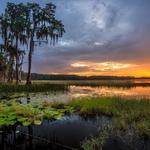 Lake Louisa State Park