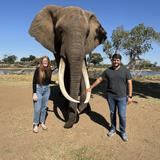 The Elephant Cafe, Livingstone