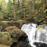 Whatcom Falls Park