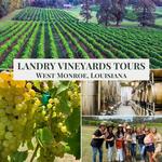 Landry Vineyards LLC