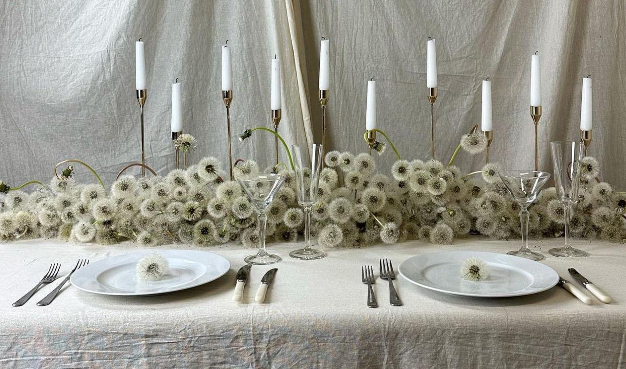 The Wedding Website of Des Wilson and Michael Trueblood