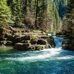 Brice Creek Falls