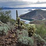 Lake Pleasant