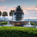 Waterfront Park (Dog Friendly!)