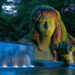 Atlanta Botanical Garden