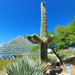 Biosphere 2