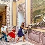 3D Museum of Wonders