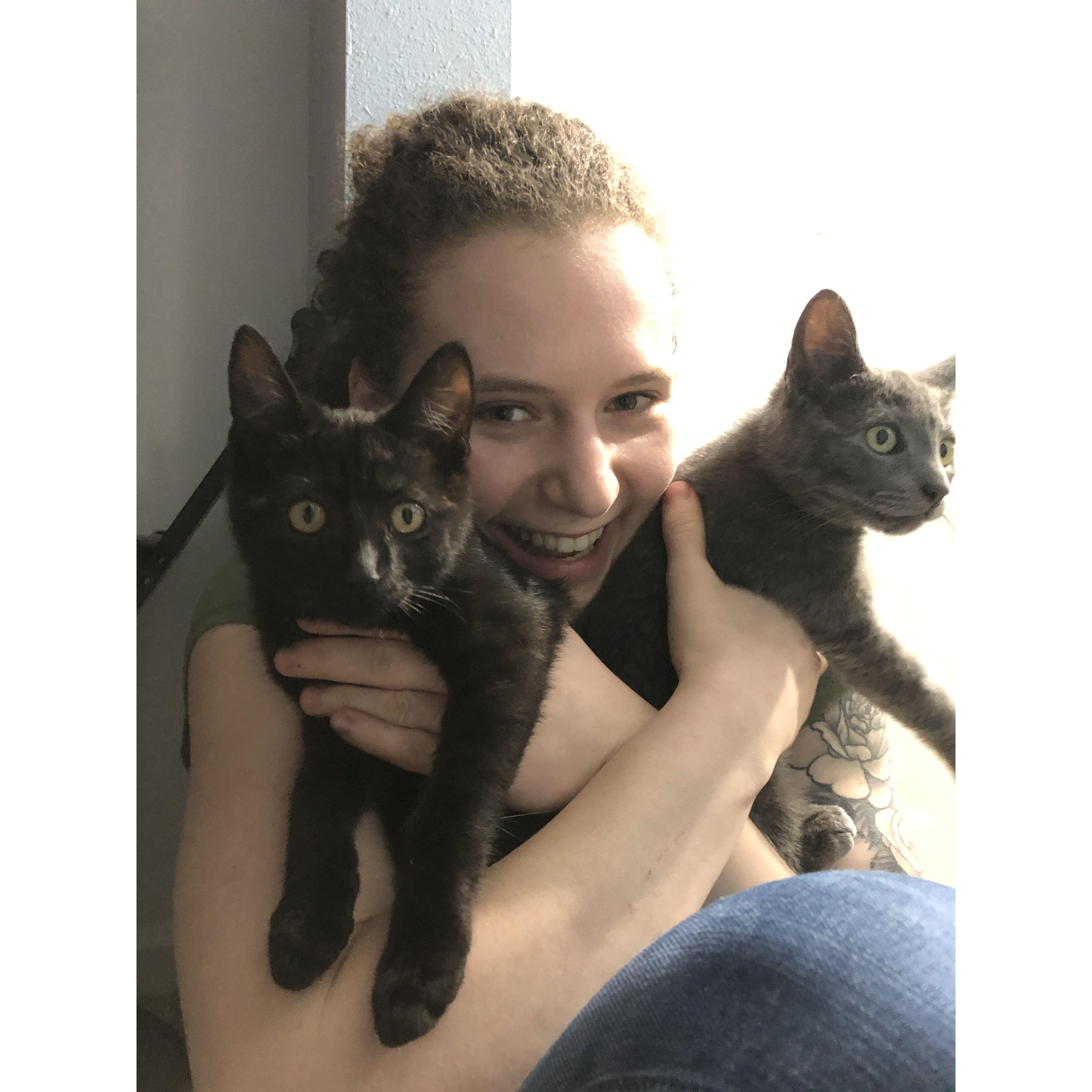 2020: New kittens!
