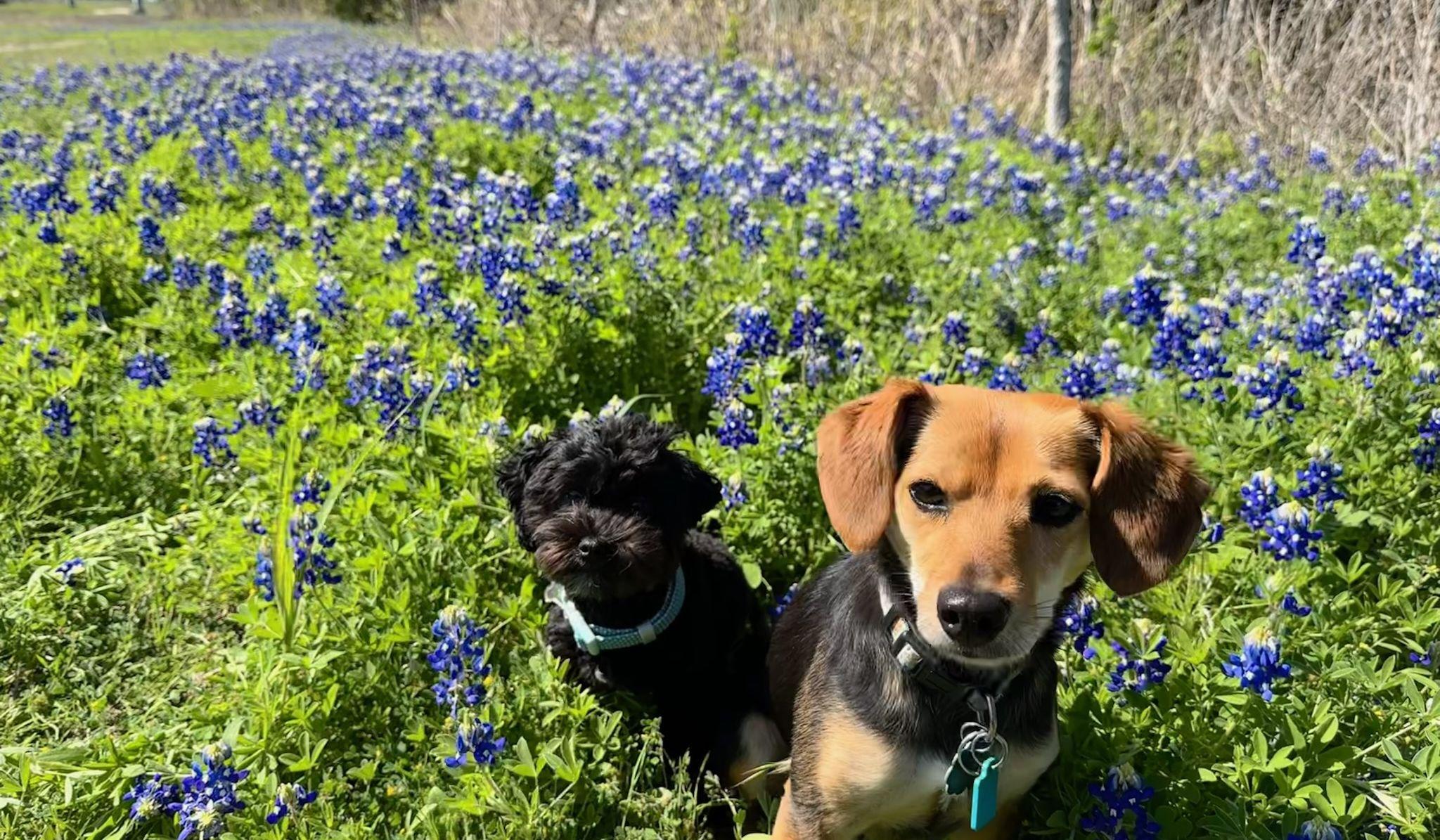 Hero Slideshow Image 5