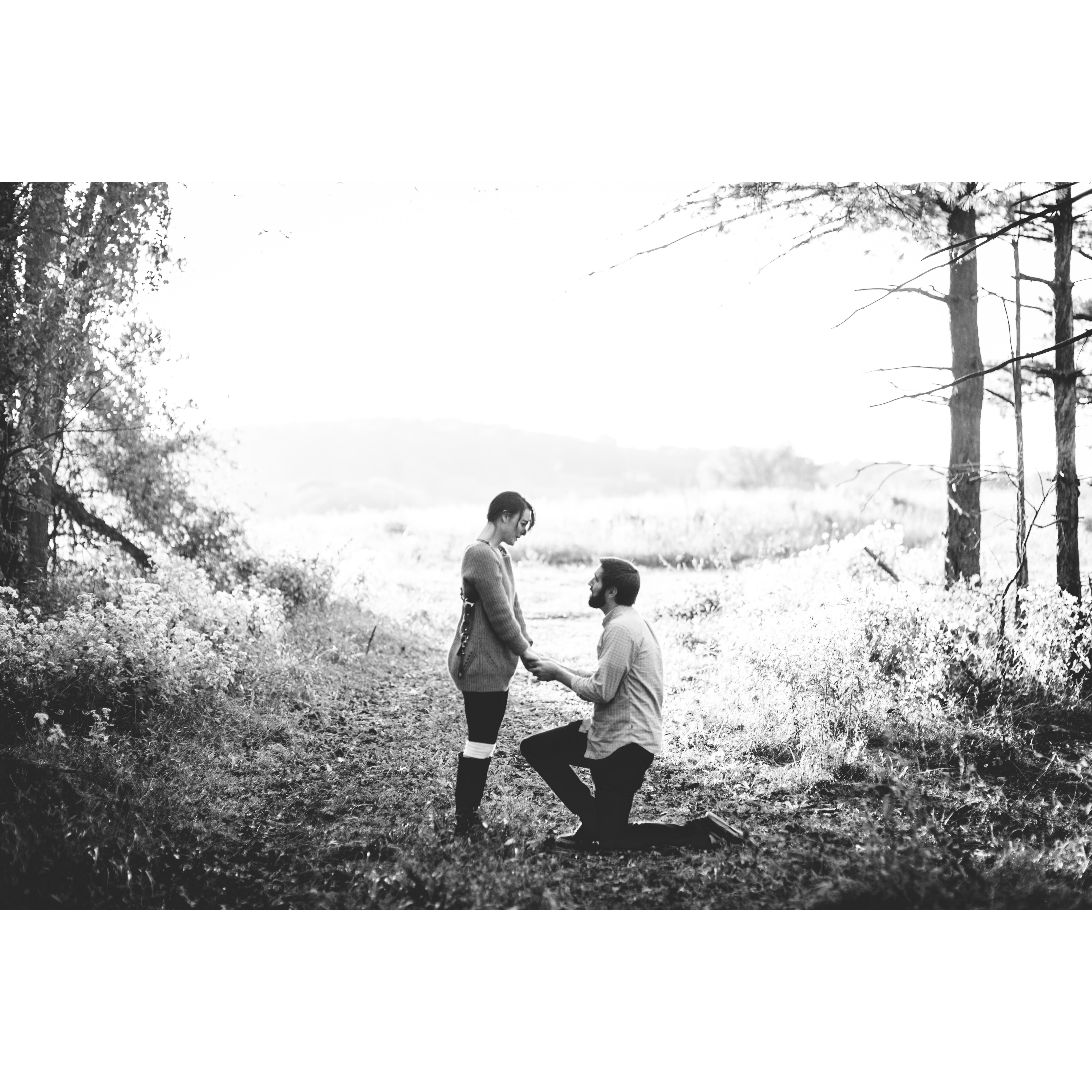 The proposal Elizabeth (unbelieveably) didn't see coming!