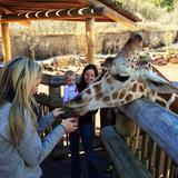 Cheyenne Mountain Zoo
