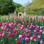 The Dallas Arboretum and Botanical Garden